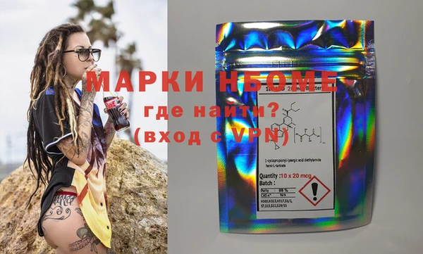 индика Балахна